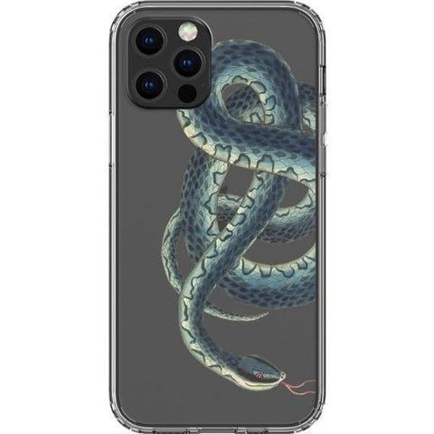 Vintage Snake Clear Phone Case for your iPhone 13 Pro exclusively at The Urban Flair